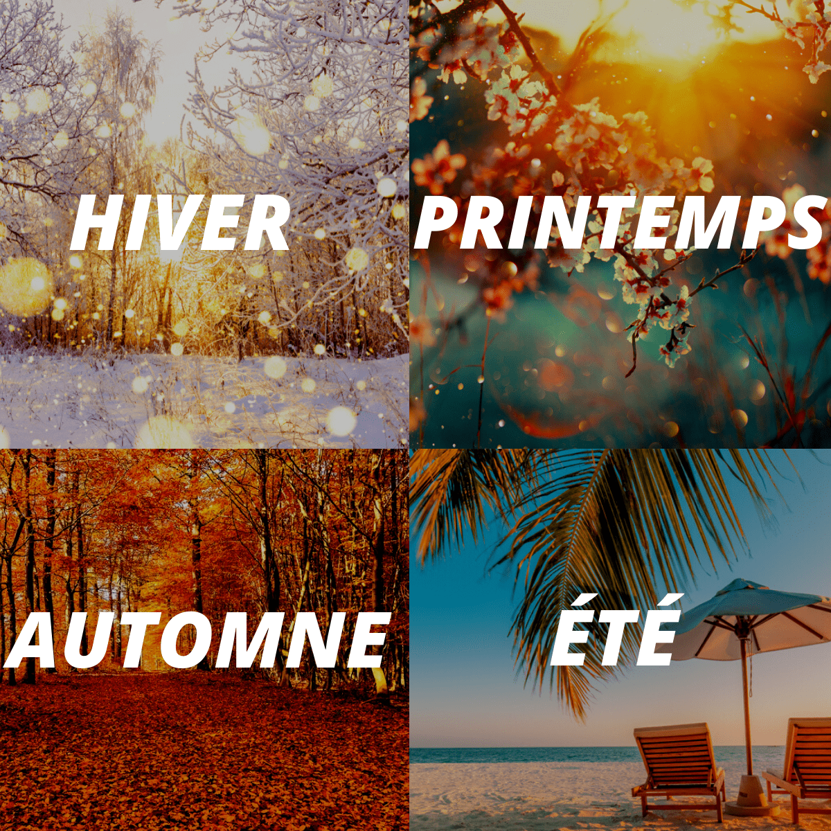 Plaid par Saison | Univers Plaid